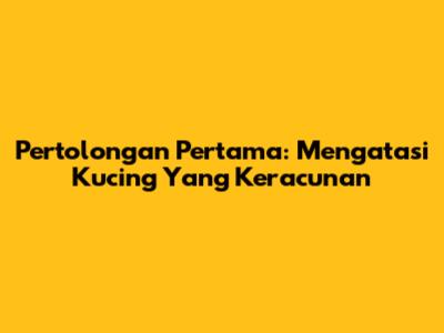 Pertolongan Pertama: Mengatasi Kucing Yang Keracunan