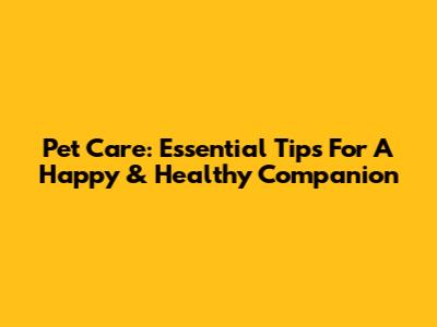 Pet Care: Essential Tips For A Happy & Healthy Companion
