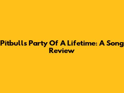 Pitbull's 'Party Of A Lifetime': A Song Review