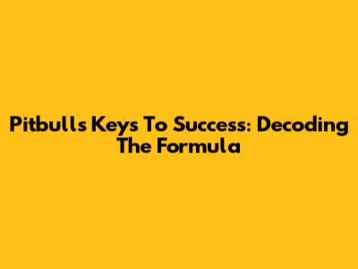 Pitbull's Keys To Success: Decoding The Formula