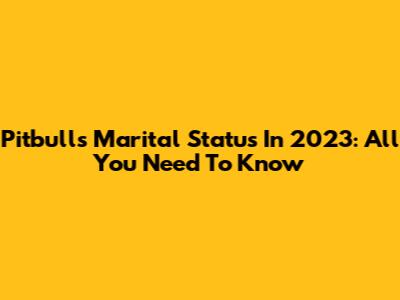 Pitbull's Marital Status In 2023: All You Need To Know
