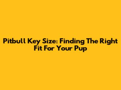 Pitbull Key Size: Finding The Right Fit For Your Pup