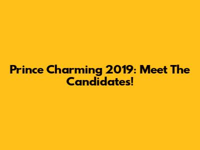 Prince Charming 2019: Meet The Candidates!