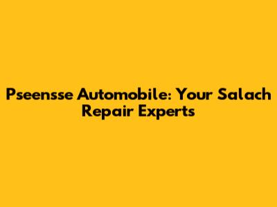 Pseensse Automobile: Your Salach Repair Experts