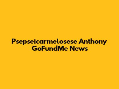 Psepseicarmelosese Anthony GoFundMe News