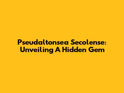 Pseudaltonsea Secolense: Unveiling A Hidden Gem