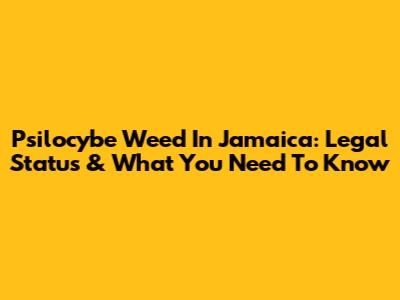 Psilocybe Weed In Jamaica: Legal Status & What You Need To Know