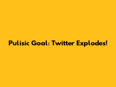 Pulisic Goal: Twitter Explodes!