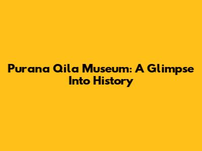 Purana Qila Museum: A Glimpse Into History