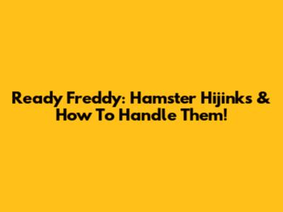 Ready Freddy: Hamster Hijinks & How To Handle Them!