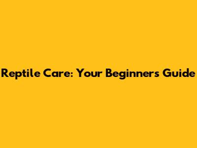 Reptile Care: Your Beginner's Guide