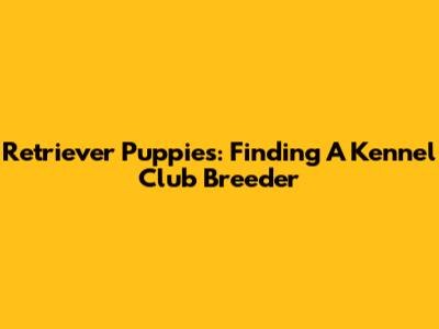 Retriever Puppies: Finding A Kennel Club Breeder