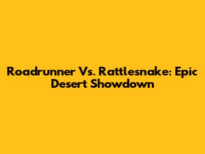 Roadrunner Vs. Rattlesnake: Epic Desert Showdown