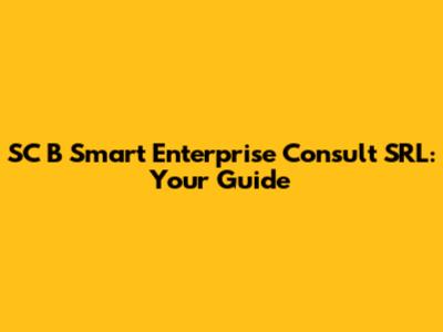 SC B Smart Enterprise Consult SRL: Your Guide