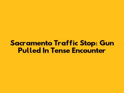 Sacramento Traffic Stop: Gun Pulled In Tense Encounter