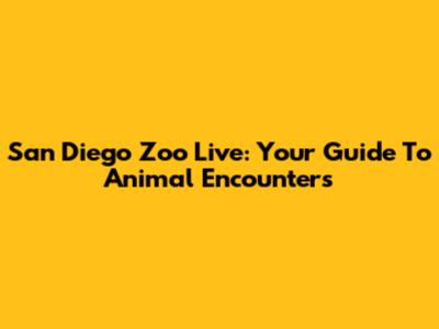 San Diego Zoo Live: Your Guide To Animal Encounters
