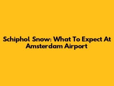 Schiphol Snow: What To Expect At Amsterdam Airport