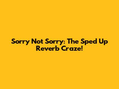Sorry Not Sorry: The Sped Up Reverb Craze!