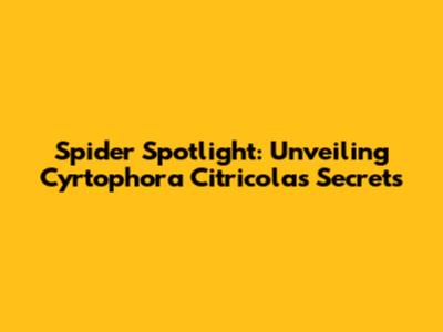 Spider Spotlight: Unveiling Cyrtophora Citricola's Secrets
