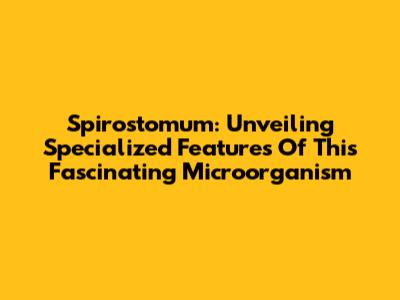 Spirostomum: Unveiling Specialized Features Of This Fascinating Microorganism