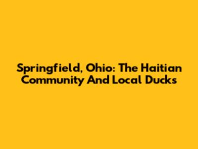 Springfield, Ohio: The Haitian Community And Local Ducks