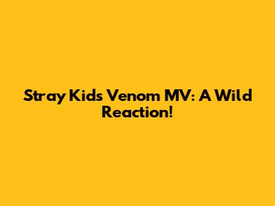Stray Kids' "Venom" MV: A Wild Reaction!
