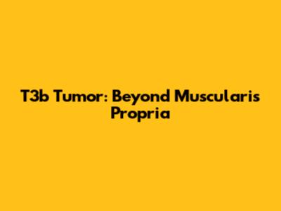 T3b Tumor: Beyond Muscularis Propria