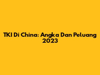 TKI Di China: Angka Dan Peluang 2023