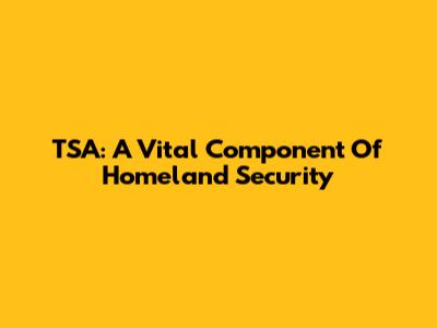 TSA: A Vital Component Of Homeland Security