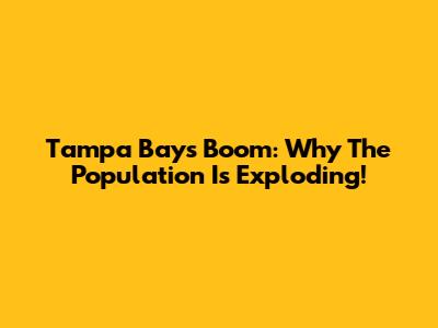Tampa Bay's Boom: Why The Population Is Exploding!
