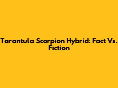Tarantula Scorpion Hybrid: Fact Vs. Fiction