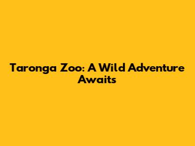 Taronga Zoo: A Wild Adventure Awaits