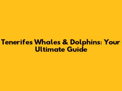 Tenerife's Whales & Dolphins: Your Ultimate Guide