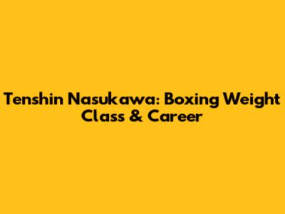 Tenshin Nasukawa: Boxing Weight Class & Career