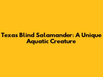 Texas Blind Salamander: A Unique Aquatic Creature
