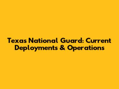 Texas National Guard: Current Deployments & Operations