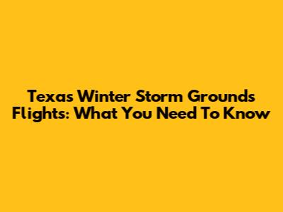Texas Winter Storm Grounds Flights: What You Need To Know