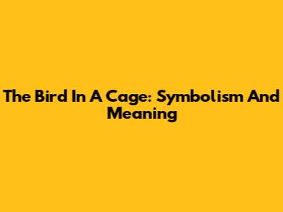 The Bird In A Cage: Symbolism And Meaning