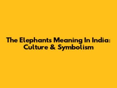 The Elephant's Meaning In India: Culture & Symbolism