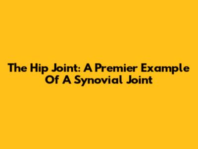 The Hip Joint: A Premier Example Of A Synovial Joint