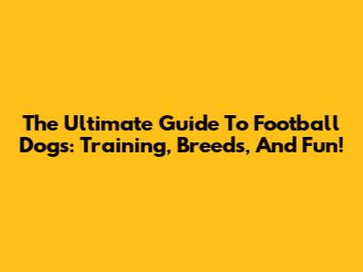 The Ultimate Guide To Football Dogs: Training, Breeds, And Fun!