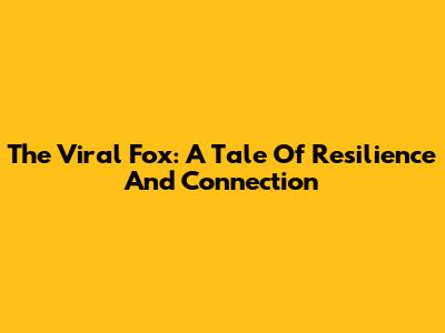 The Viral Fox: A Tale Of Resilience And Connection