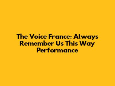 The Voice France: Always Remember Us This Way Performance