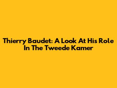 Thierry Baudet: A Look At His Role In The Tweede Kamer