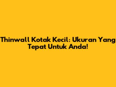 Thinwall Kotak Kecil: Ukuran Yang Tepat Untuk Anda!