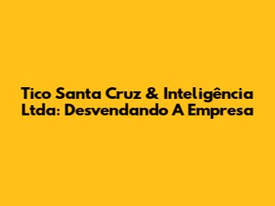 Tico Santa Cruz & Inteligência Ltda: Desvendando A Empresa