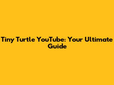 Tiny Turtle YouTube: Your Ultimate Guide