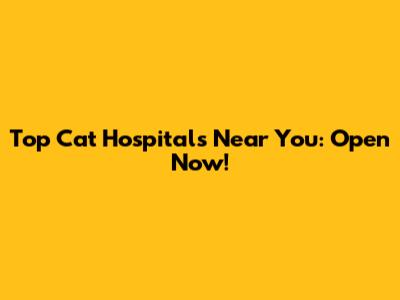 Top Cat Hospitals Near You: Open Now!