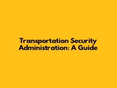 Transportation Security Administration: A Guide