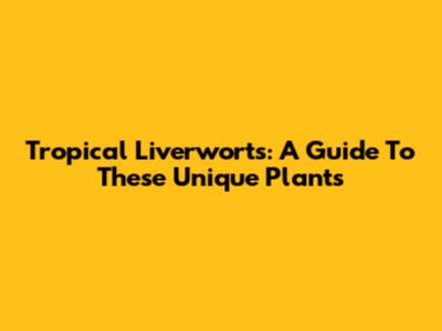 Tropical Liverworts: A Guide To These Unique Plants